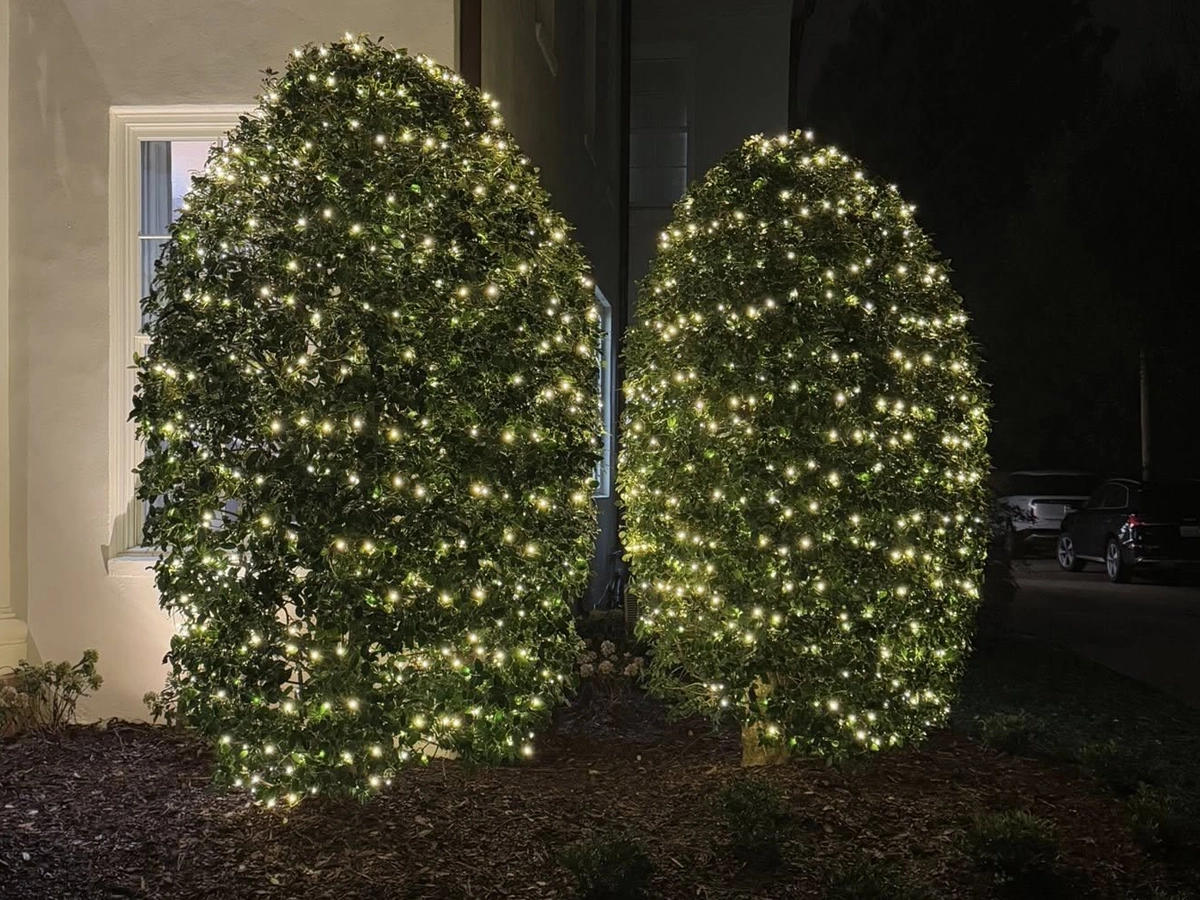 Let It Glow Birmingham Gallery