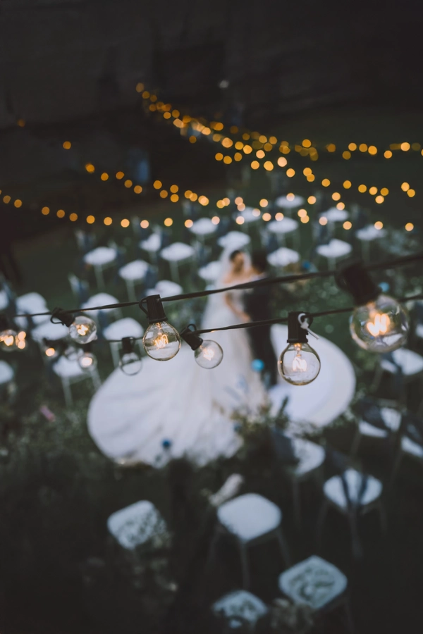 Tree & Landscape Lighting